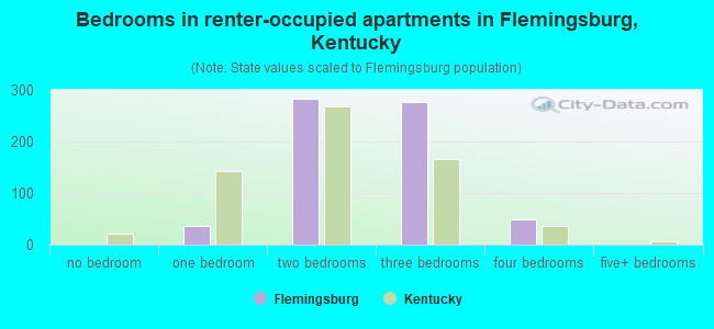 Bedrooms in renter-occupied apartments in Flemingsburg, Kentucky