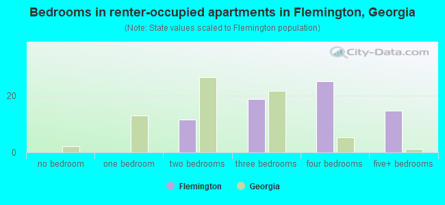 Bedrooms in renter-occupied apartments in Flemington, Georgia