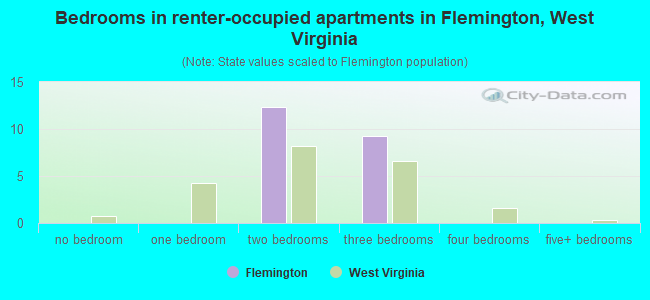 Bedrooms in renter-occupied apartments in Flemington, West Virginia