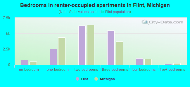 Bedrooms in renter-occupied apartments in Flint, Michigan
