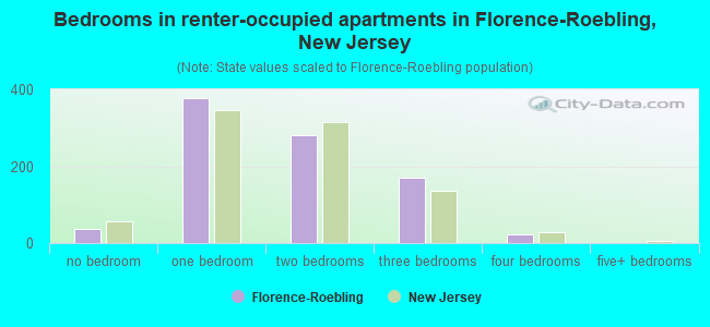 Bedrooms in renter-occupied apartments in Florence-Roebling, New Jersey