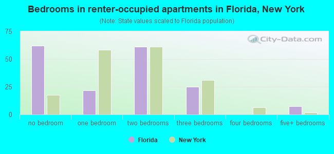 Bedrooms in renter-occupied apartments in Florida, New York