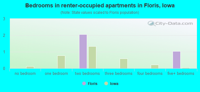 Bedrooms in renter-occupied apartments in Floris, Iowa