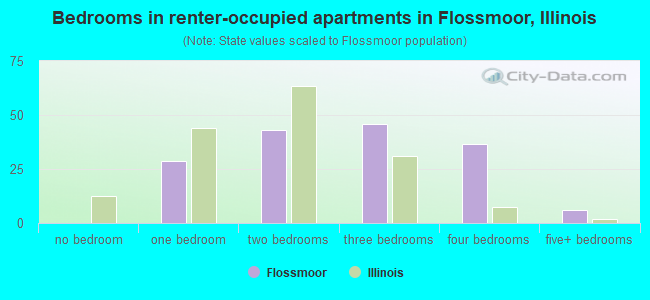 Bedrooms in renter-occupied apartments in Flossmoor, Illinois