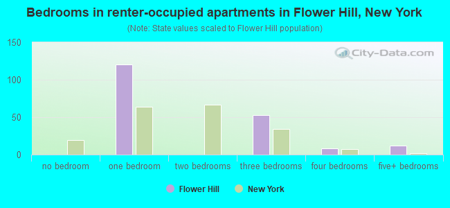 Bedrooms in renter-occupied apartments in Flower Hill, New York