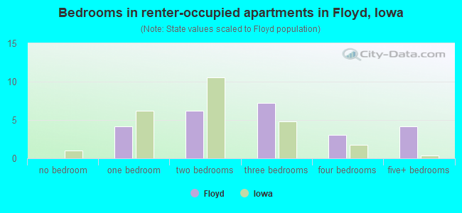 Bedrooms in renter-occupied apartments in Floyd, Iowa
