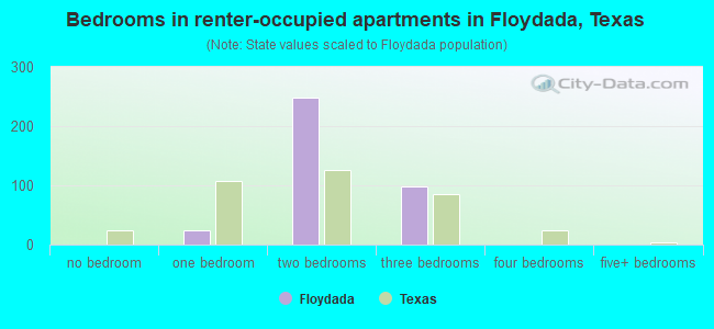 Bedrooms in renter-occupied apartments in Floydada, Texas