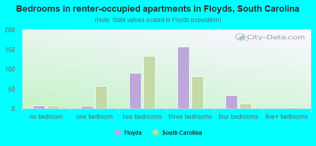 Bedrooms in renter-occupied apartments in Floyds, South Carolina