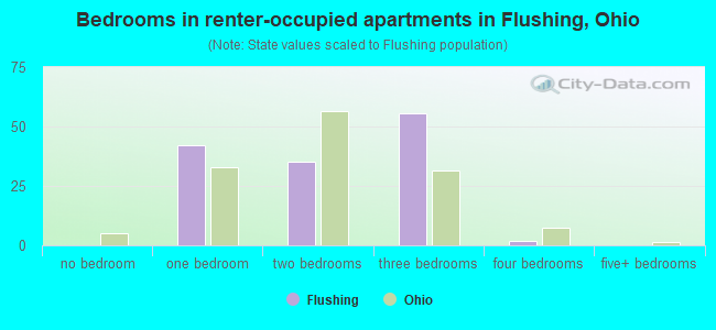 Bedrooms in renter-occupied apartments in Flushing, Ohio