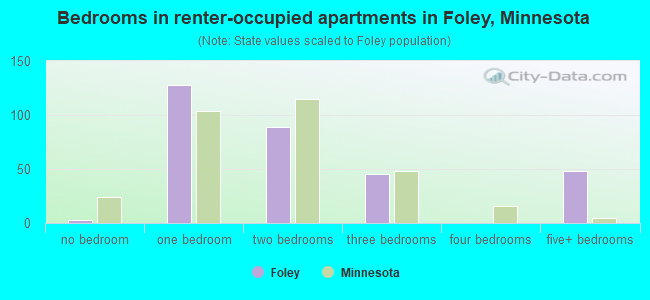 Bedrooms in renter-occupied apartments in Foley, Minnesota