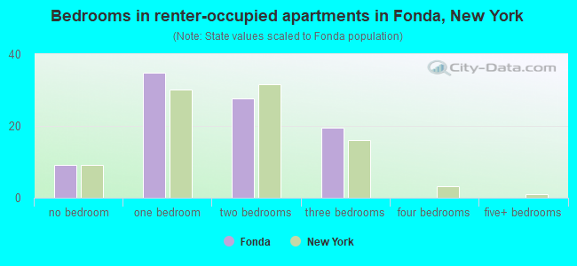 Bedrooms in renter-occupied apartments in Fonda, New York