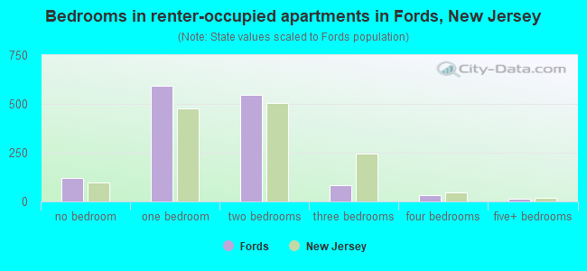 Bedrooms in renter-occupied apartments in Fords, New Jersey