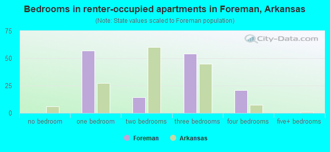 Bedrooms in renter-occupied apartments in Foreman, Arkansas