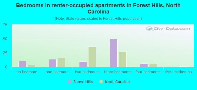 Bedrooms in renter-occupied apartments in Forest Hills, North Carolina