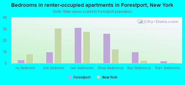 Bedrooms in renter-occupied apartments in Forestport, New York