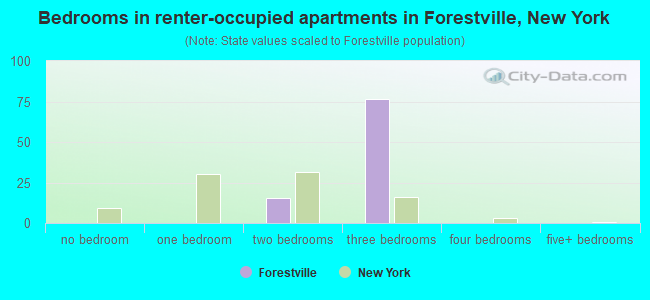 Bedrooms in renter-occupied apartments in Forestville, New York