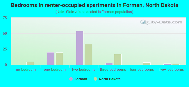 Bedrooms in renter-occupied apartments in Forman, North Dakota