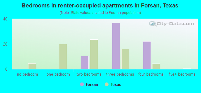 Bedrooms in renter-occupied apartments in Forsan, Texas