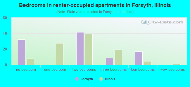 Bedrooms in renter-occupied apartments in Forsyth, Illinois