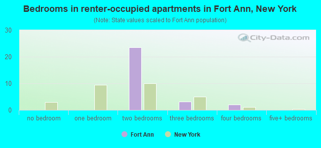 Bedrooms in renter-occupied apartments in Fort Ann, New York