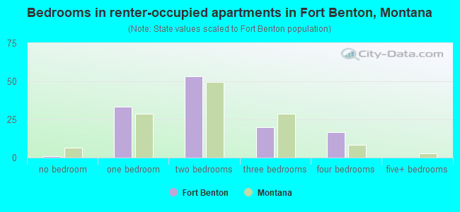 Bedrooms in renter-occupied apartments in Fort Benton, Montana