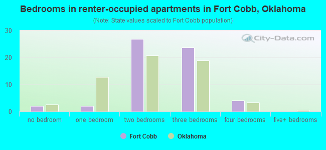 Bedrooms in renter-occupied apartments in Fort Cobb, Oklahoma