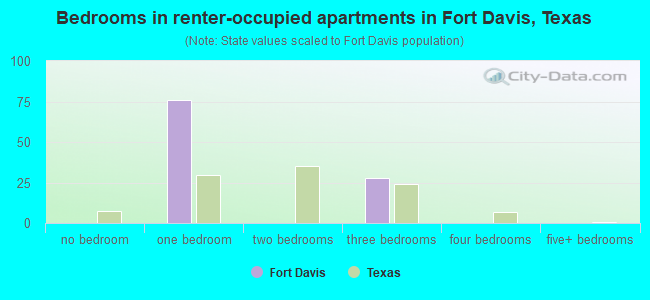 Bedrooms in renter-occupied apartments in Fort Davis, Texas
