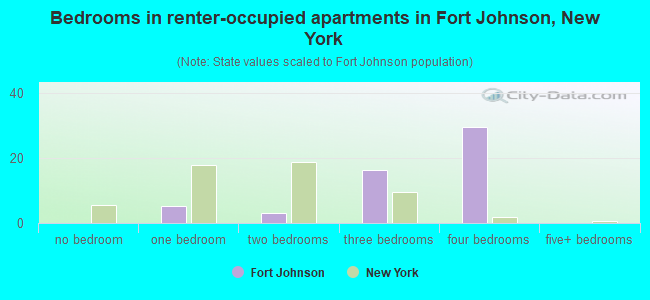 Bedrooms in renter-occupied apartments in Fort Johnson, New York