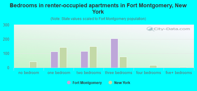 Bedrooms in renter-occupied apartments in Fort Montgomery, New York