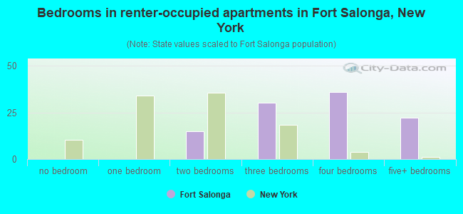 Bedrooms in renter-occupied apartments in Fort Salonga, New York