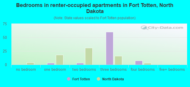 Bedrooms in renter-occupied apartments in Fort Totten, North Dakota