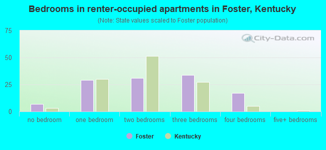 Bedrooms in renter-occupied apartments in Foster, Kentucky