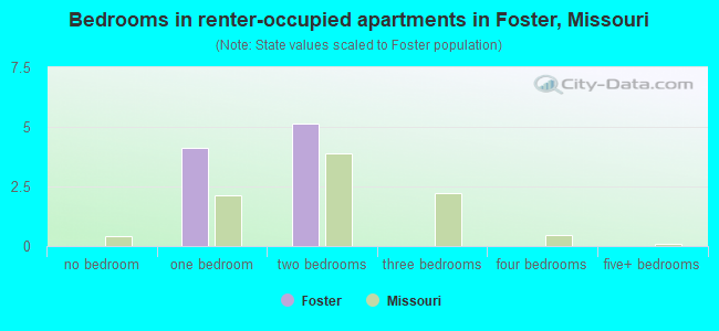 Bedrooms in renter-occupied apartments in Foster, Missouri