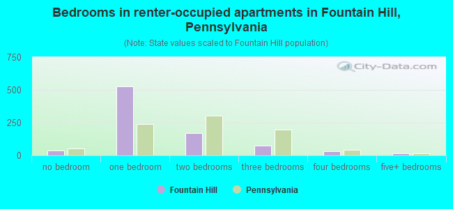 Bedrooms in renter-occupied apartments in Fountain Hill, Pennsylvania
