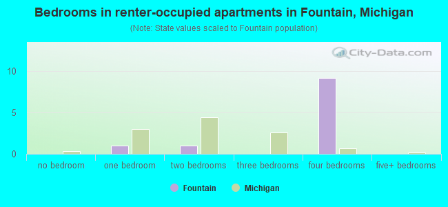 Bedrooms in renter-occupied apartments in Fountain, Michigan