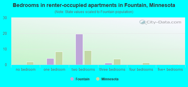 Bedrooms in renter-occupied apartments in Fountain, Minnesota