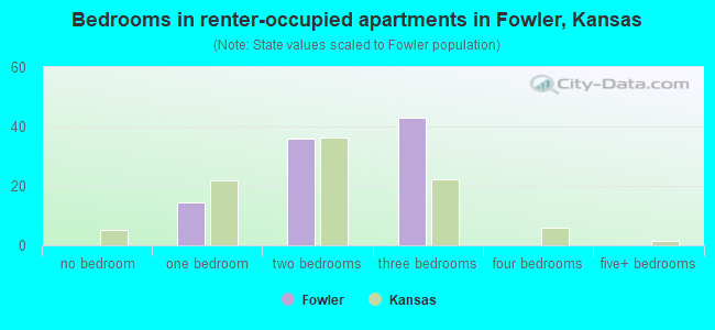 Bedrooms in renter-occupied apartments in Fowler, Kansas