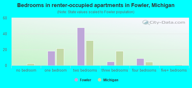 Bedrooms in renter-occupied apartments in Fowler, Michigan