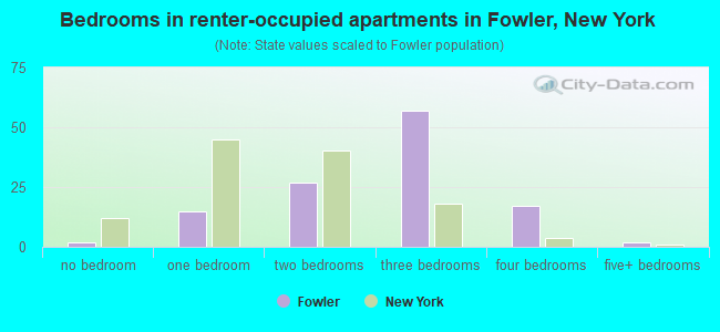 Bedrooms in renter-occupied apartments in Fowler, New York