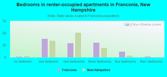 Bedrooms in renter-occupied apartments in Franconia, New Hampshire