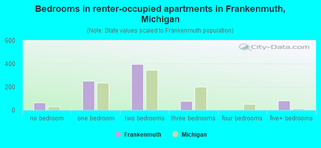 Bedrooms in renter-occupied apartments in Frankenmuth, Michigan