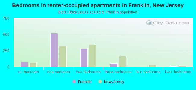 Bedrooms in renter-occupied apartments in Franklin, New Jersey