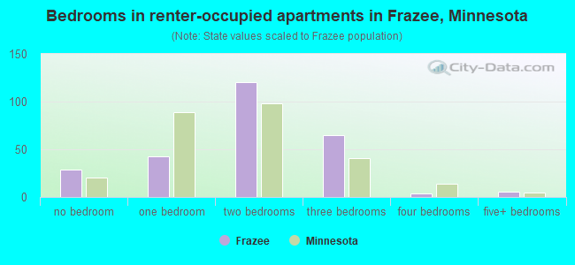 Bedrooms in renter-occupied apartments in Frazee, Minnesota