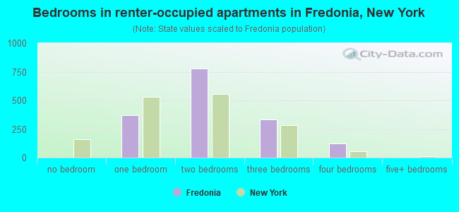 Bedrooms in renter-occupied apartments in Fredonia, New York
