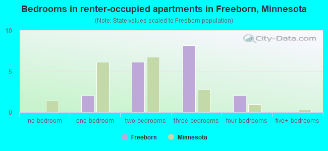 Bedrooms in renter-occupied apartments in Freeborn, Minnesota