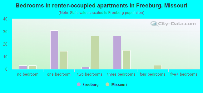 Bedrooms in renter-occupied apartments in Freeburg, Missouri
