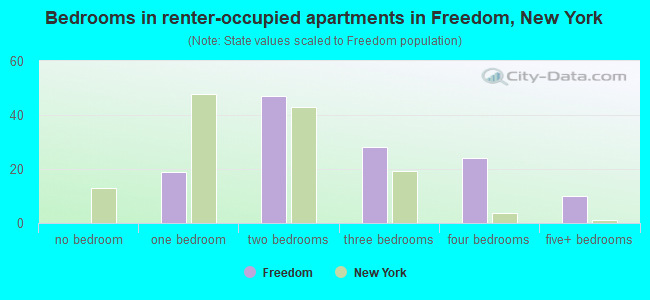 Bedrooms in renter-occupied apartments in Freedom, New York