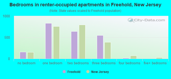 Bedrooms in renter-occupied apartments in Freehold, New Jersey