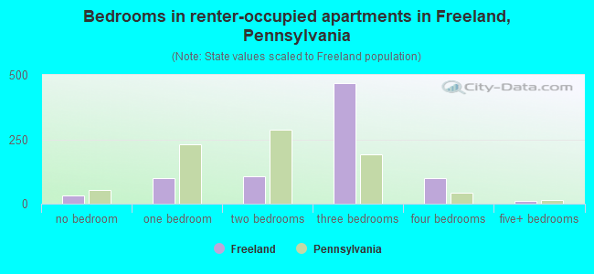 Bedrooms in renter-occupied apartments in Freeland, Pennsylvania
