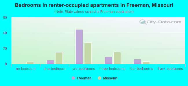 Bedrooms in renter-occupied apartments in Freeman, Missouri